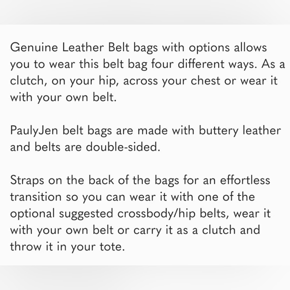 Pauly Jen belt/clutch - Picture 7 of 7